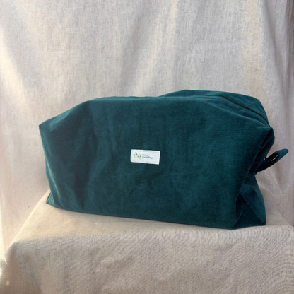 LOAN – Dyson Case